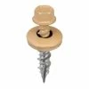 Acorn International #9 x 1 in. 1/4 in. Hex Head Metal to Wood Screws in Mocha Tan (Bag of 250) 1 Acorn International #9 x 1 in. 1/4 in. Hex Head Metal to Wood Screws in Mocha Tan (Bag of 250) -idh by St. Simons Sales acorn international wood screws sw mw1mt250 64 1000