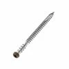NewTechWood #10 x 2-1/2 in. Stainless Steel Star Drive Flat Undercut Composite Deck Screw Spanish in Walnut (100-Pack)